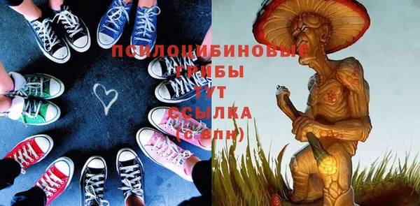 СК Навашино