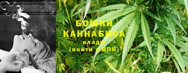 2c-b Надым
